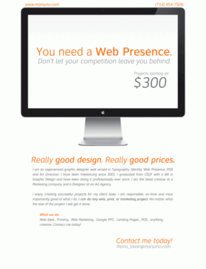 Ad I placed on Craigslist…