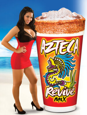 Azteca Revive POS Design