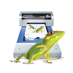 Omniprint International